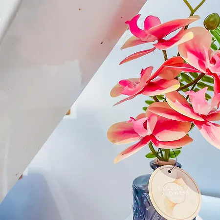 Duplex * Clermont-Ferrand