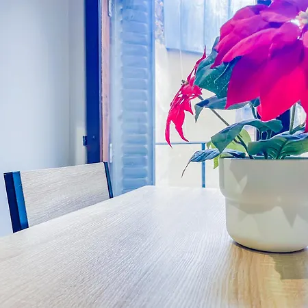 Apartamento Duplex *