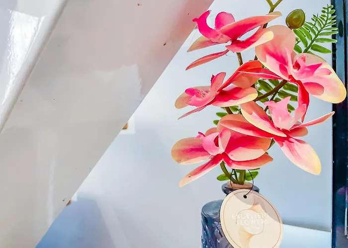 Duplex * Clermont-Ferrand